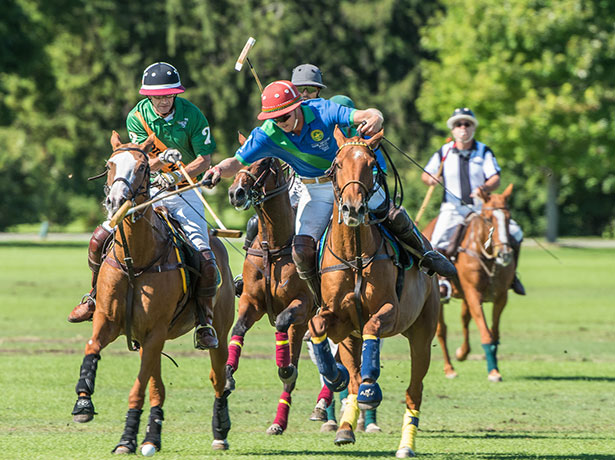 Polo: The Sport of Kings Returns to DuPage County