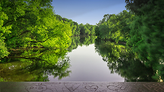 DuPage River and Greenery